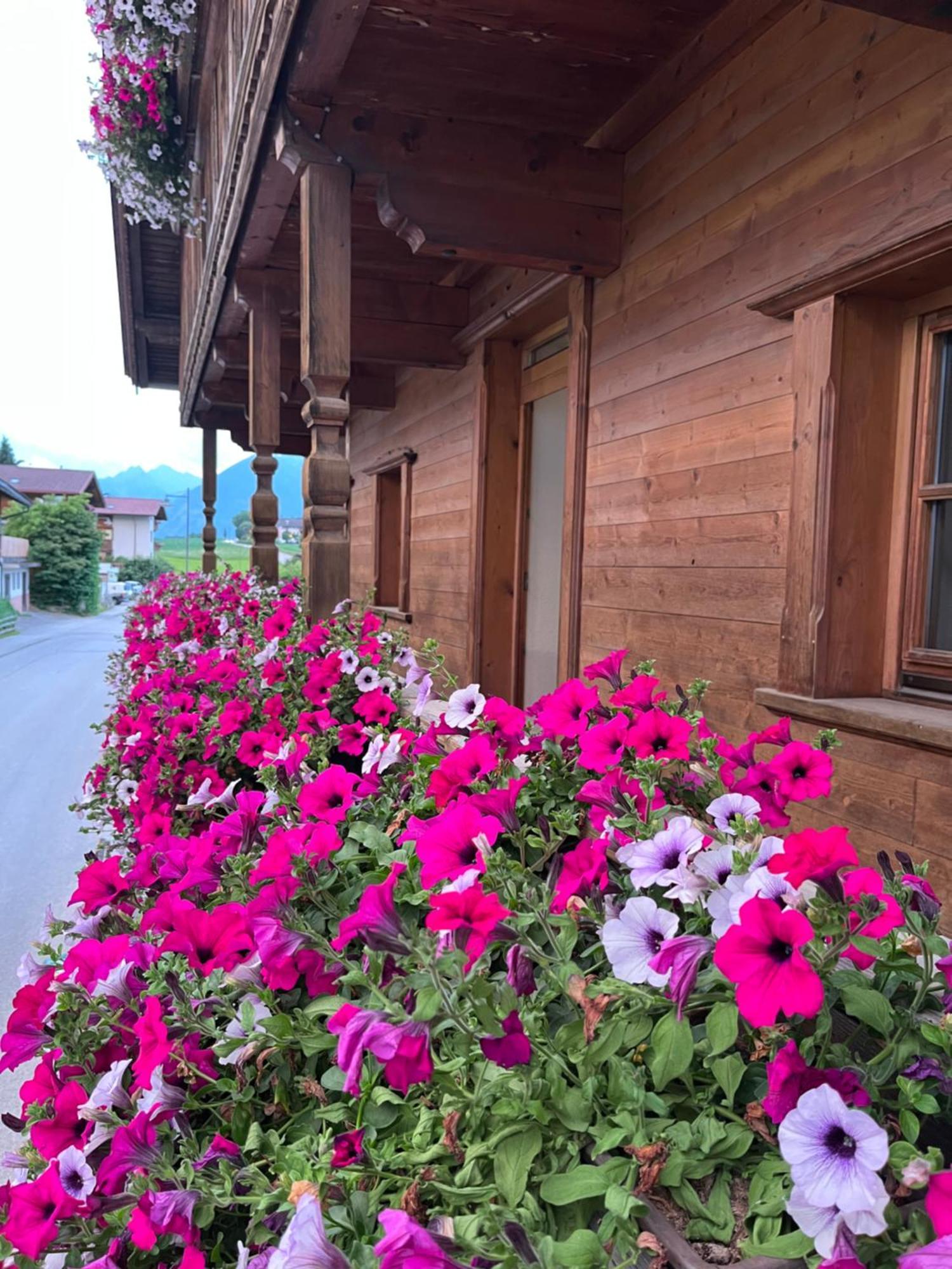 Ferienwohnung Seppen Reith im Alpbachtal Εξωτερικό φωτογραφία